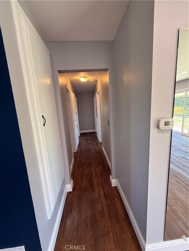4561 Mimosa Dr, Yorba Linda, CA 92886 - corridor with wood finished floors and baseboards