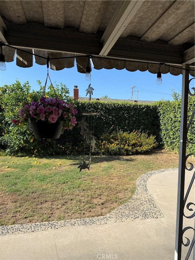 4561 Mimosa Dr, Yorba Linda, CA 92886 - view of green lawn