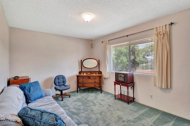 13779 Whispering Meadows Ln, Jamul, CA 91935 - sitting room with carpet flooring and a textured ceiling