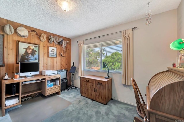 13779 Whispering Meadows Ln, Jamul, CA 91935 - office space with wooden walls, carpet floors, and a textured ceiling