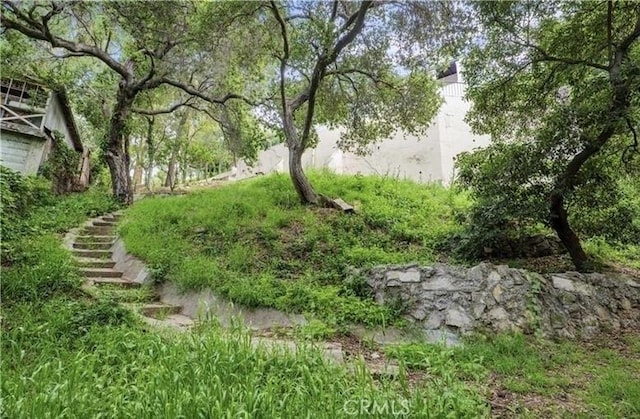 2982 Edgewick Rd, Glendale, CA 91206 - view of yard featuring stairway