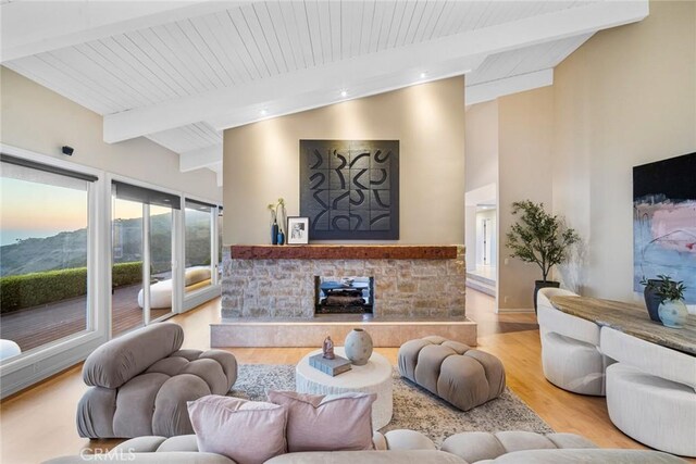 32131 Sea Island Dr, Dana Point, CA 92629 - living room featuring wood finished floors and a stone fireplace