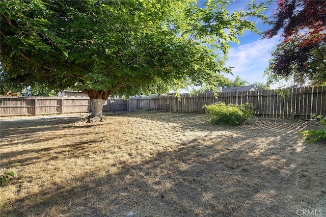 342 Rio Vista Ct, Corning, CA 96021 - view of fenced backyard