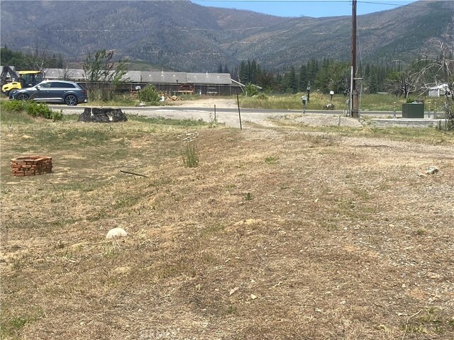 169 Hot Springs Rd, Greenville, CA 95947 - photo 10
