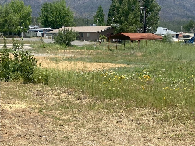 169 Hot Springs Rd, Greenville, CA 95947 - photo 13