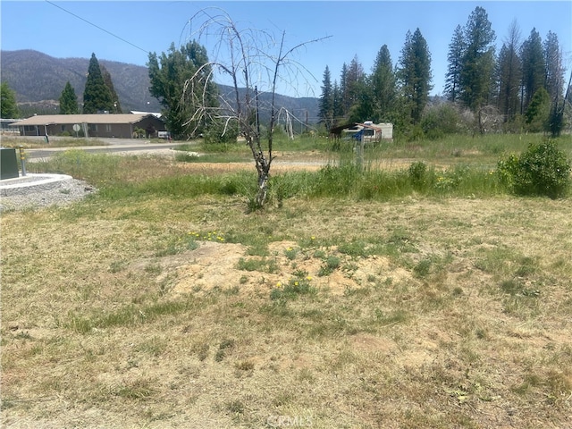 169 Hot Springs Rd, Greenville, CA 95947 - photo 2