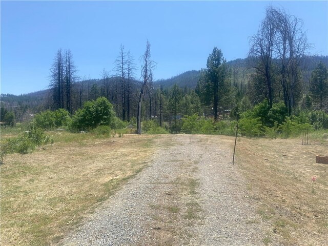 169 Hot Springs Rd, Greenville, CA 95947 - photo 8