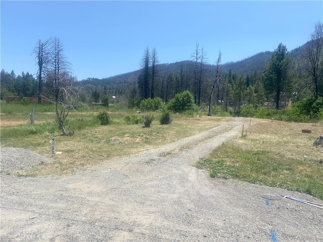 169 Hot Springs Rd, Greenville, CA 95947 - photo 1