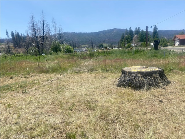 169 Hot Springs Rd, Greenville, CA 95947 - photo 6