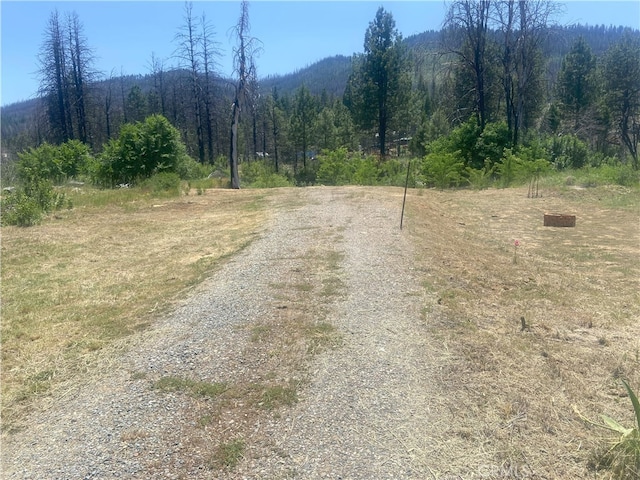 169 Hot Springs Rd, Greenville, CA 95947 - photo 5
