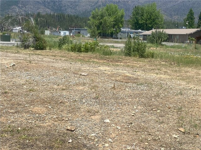 169 Hot Springs Rd, Greenville, CA 95947 - photo 11