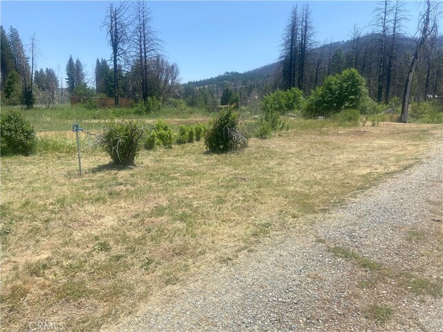 169 Hot Springs Rd, Greenville, CA 95947 - photo 4
