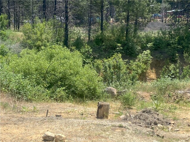 169 Hot Springs Rd, Greenville, CA 95947 - photo 12
