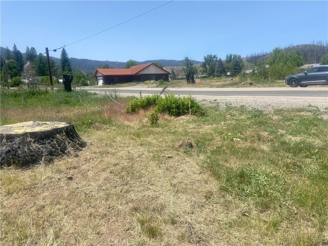 169 Hot Springs Rd, Greenville, CA 95947 - photo 7