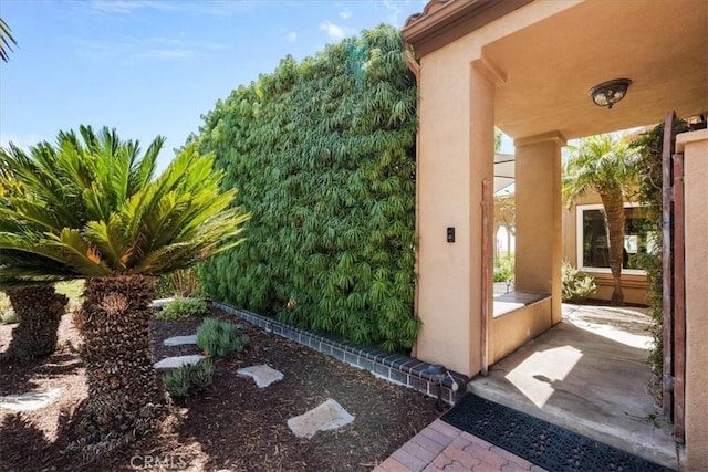 42 Paseo Alba, San Clemente, CA 92672 - property entrance featuring stucco siding