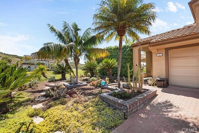 42 Paseo Alba, San Clemente, CA 92672 - view of yard featuring a garage