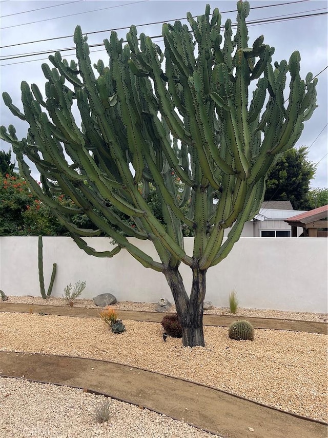 3273 Tilden Ave, Los Angeles, CA 90034 - view of yard