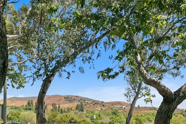 8718 E Indian Hills Rd Unit J, Orange, CA 92869 - mountain view