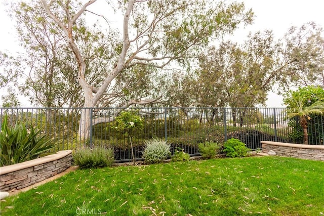 1530 Cyrus Ln, Placentia, CA 92870 - view of yard