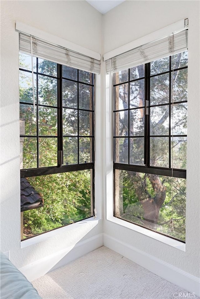 25521 Indian Hill Ln Unit L, Laguna Hills, CA 92653 - detailed view of carpet floors and a textured wall