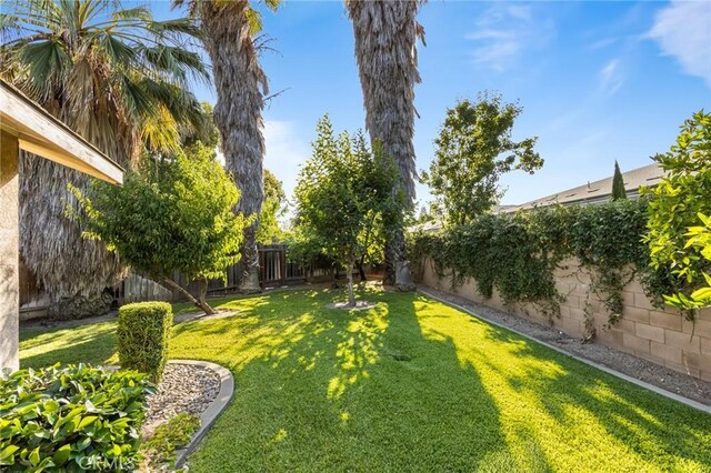 903 San Pablo Ave, Merced, CA 95348 - view of fenced backyard
