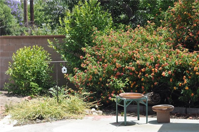 1230 N Mountain Ave, Claremont, CA 91711 - view of patio