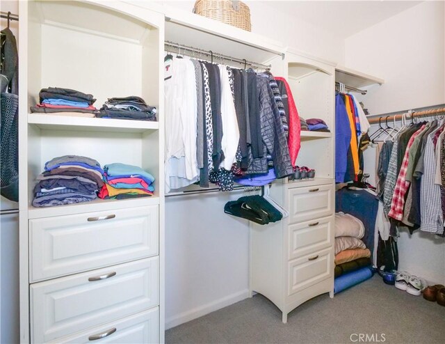 5429 Strand Unit 101, Hawthorne, CA 90250 - walk in closet featuring light colored carpet