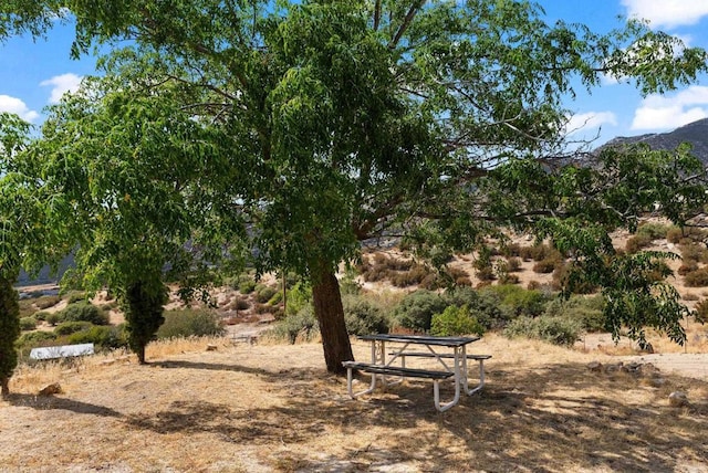 37882 Montezuma Valley Rd, Ranchita, CA 92066 - surrounding community featuring a mountain view