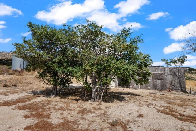 37882 Montezuma Valley Rd, Ranchita, CA 92066 - view of yard with an outdoor structure