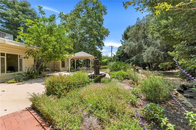 9700 Nita Ave, Chatsworth, CA 91311 - view of yard