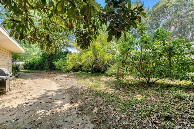 9700 Nita Ave, Chatsworth, CA 91311 - view of yard