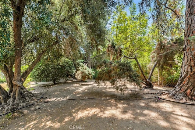 9700 Nita Ave, Chatsworth, CA 91311 - view of yard