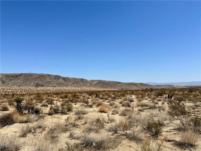 67000 29 Palms Hwy, Joshua Tree, CA 92252