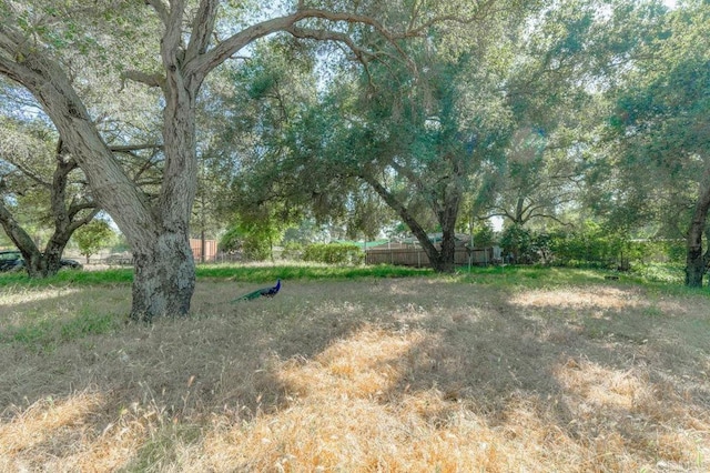 1518 Olivewood Ln, Alpine, CA 91901 - photo 14
