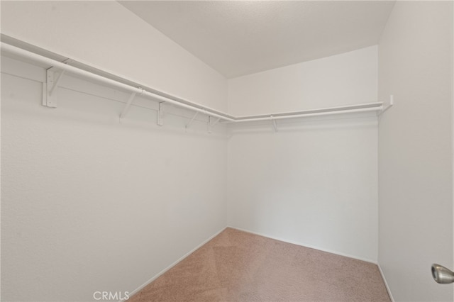 22832 Hilton Head Dr Unit 98, Diamond Bar, CA 91765 - walk in closet with carpet