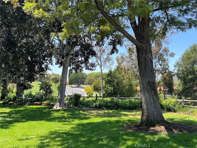 5368 Algarrobo Unit 2F, Laguna Woods, CA 92637 - view of yard