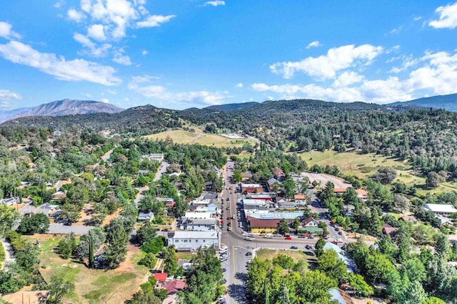 34667 Navajo Rd, Julian, CA 92036 - bird's eye view of mountains