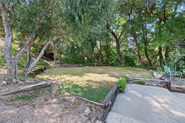 1924 E Rancho Culebra Dr, Covina, CA 91724 - view of green lawn