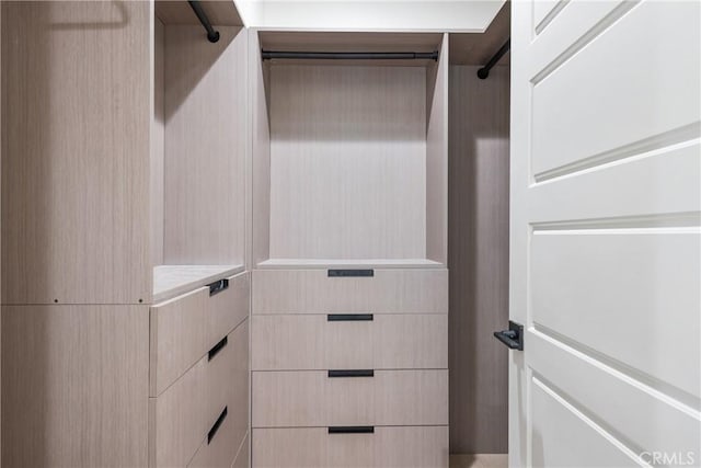 687 W 17th St, Costa Mesa, CA 92627 - view of spacious closet