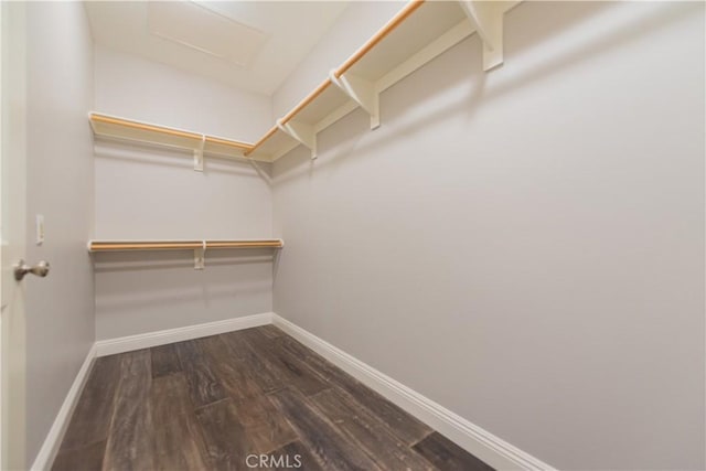 201 Bancroft, Irvine, CA 92620 - walk in closet with dark wood-type flooring