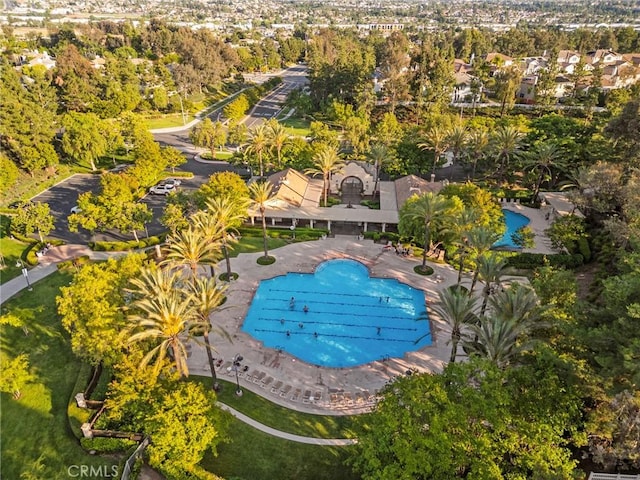 43611 Modena Dr, Temecula, CA 92592 - community pool featuring a patio