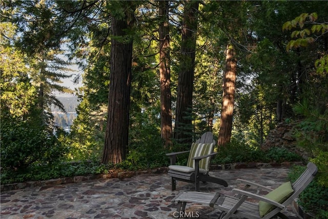 324 Summit Dr, Lake Arrowhead, CA 92352 - photo 21