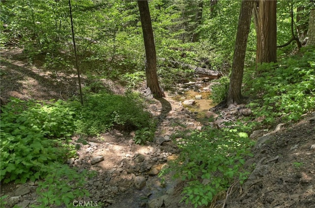 425 Blue Jay Canyon Rd, Blue Jay, CA 92317 - view of wooded area