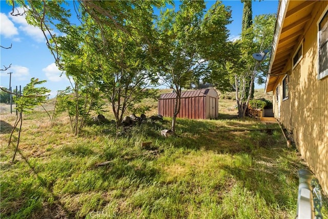 14526 Hardtree Dr, Lake Hughes, CA 93532 - view of yard featuring a shed