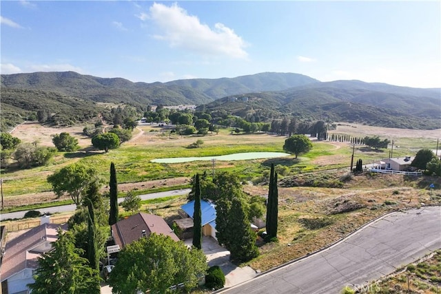 14526 Hardtree Dr, Lake Hughes, CA 93532 - view of mountain background
