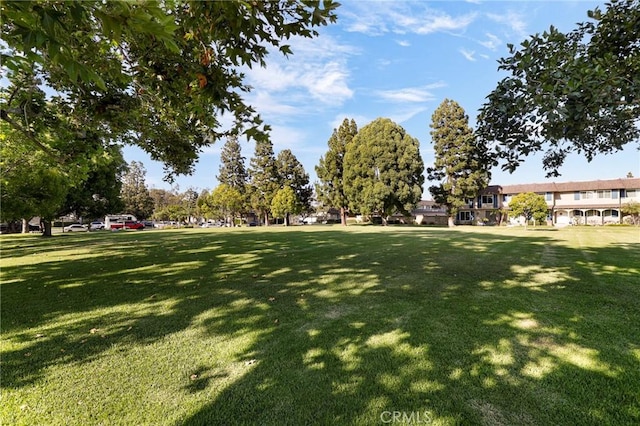 4161 Elizabeth Ct, Cypress, CA 90630 - view of property's community featuring a yard