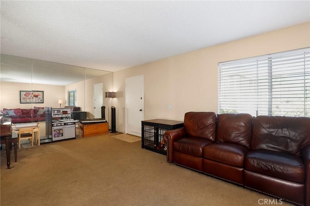 4161 Elizabeth Ct, Cypress, CA 90630 - living room featuring healthy amount of natural light, light carpet, and a fireplace with flush hearth
