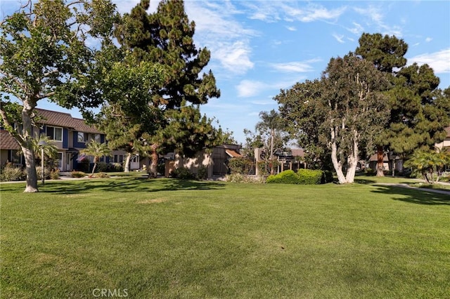 4161 Elizabeth Ct, Cypress, CA 90630 - view of property's community featuring a yard and a residential view