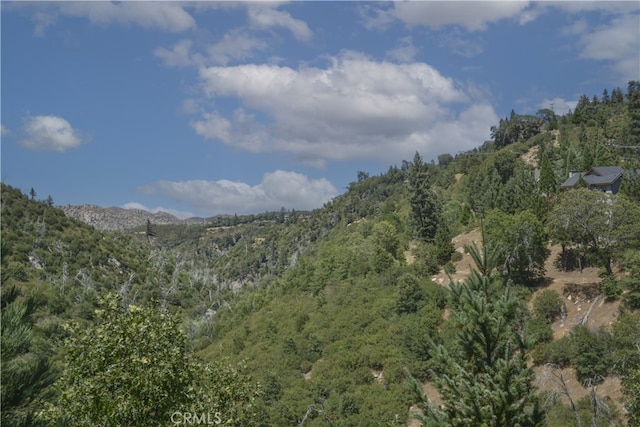 929 Trinity Dr, Lake Arrowhead, CA 92352 - photo 28