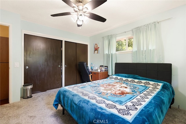 1915 Manzanita Ave, Chico, CA 95926 - bedroom featuring carpet floors, two closets, and a ceiling fan